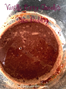 Vanilla Berry Chocolate Chia Pudding Dissolve Cocoa